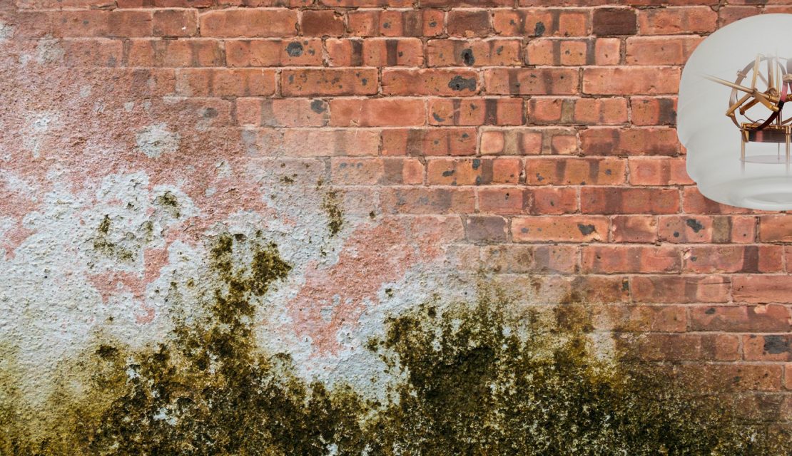 Remontées capillaires : finissez-en avec les murs humides