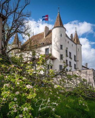 Page-23185-News-Photos-Nyon-Castle-02
