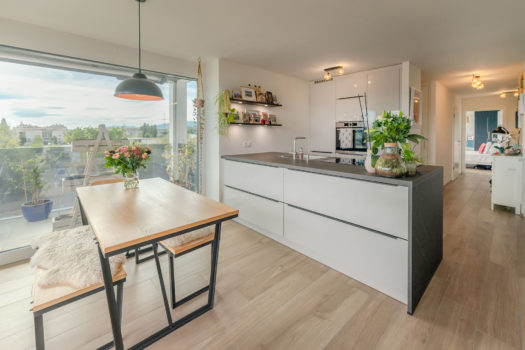 Bel appartement de 3 pièces et demi au troisième étage d’un immeuble à Nyon avec vue sur le Mont-Blanc