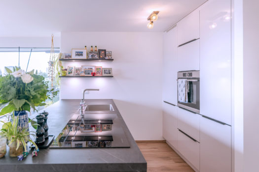 1260 Nyon – Appartement de 3 pièces et demi avec vue sur le Mont-Blanc