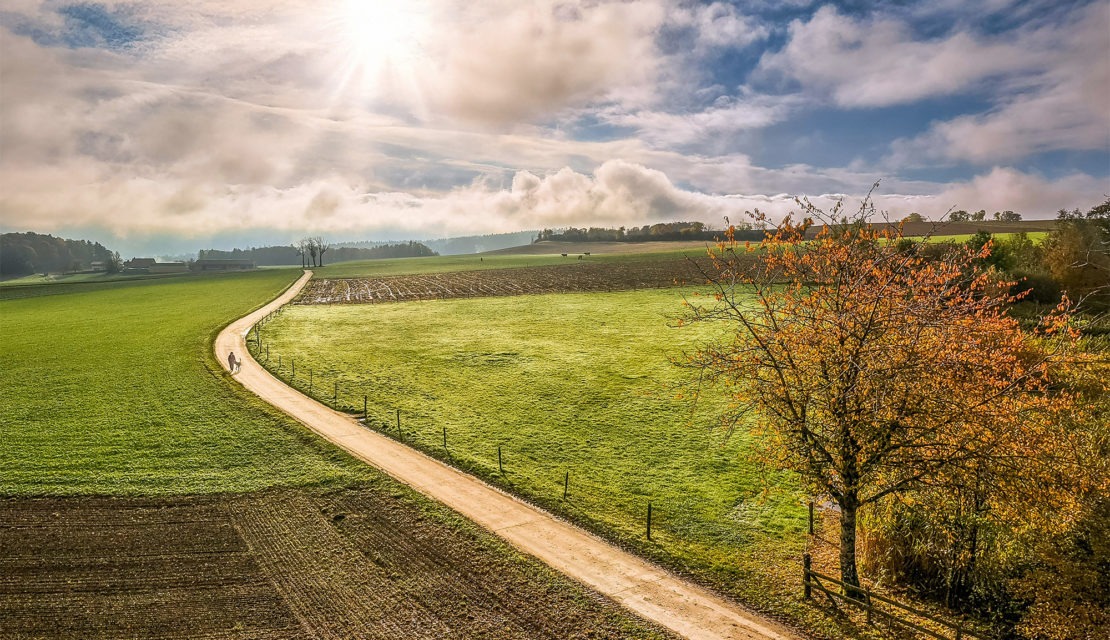 Région de Nyon : à la découverte de ses beaux paysages naturels
