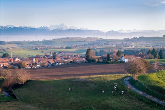 Belle villa individuelle de 6 pièces et demi avec jardin à Gimel dans le canton de Vaud.