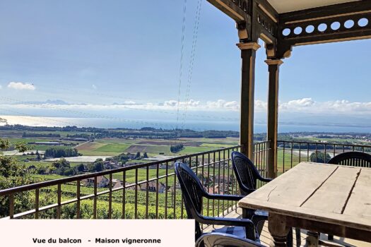 1184 Luins – Domaine viticole avec forêt, vue imprenable lac